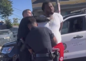 LAPD Officer Temporarily Relieved of Duties After Video Shows Him Punching Handcuffed Man During Arrest